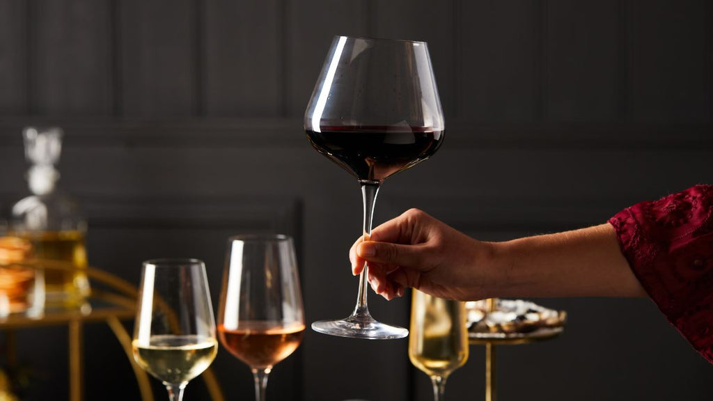 Different wine deals glasses