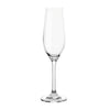 Tamar Champagne Flute 6 Piece Set