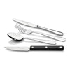 Albany 60 Piece Set with Steak Knives